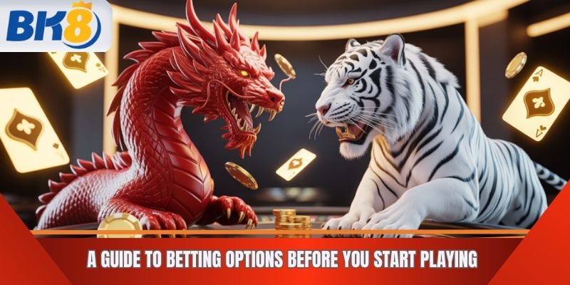 A Guide to Betting Options Before You Start Playing