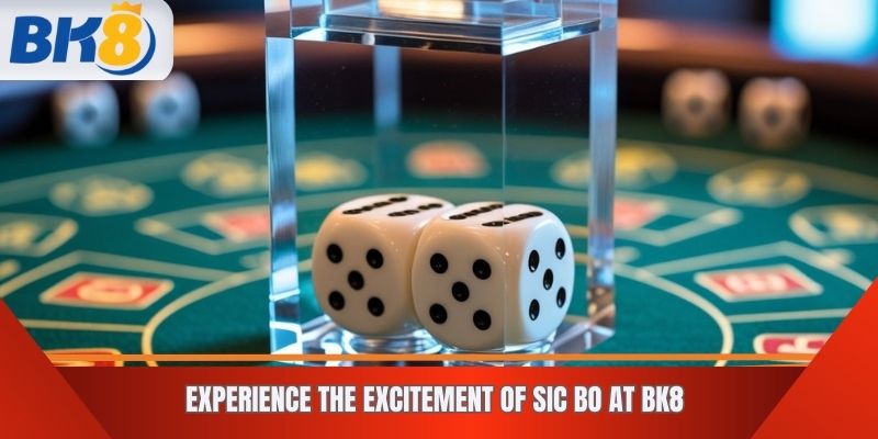Experience the Excitement of Sic Bo at BK8