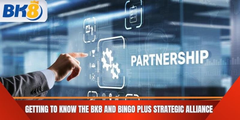 Getting to Know the BK8 and Bingo Plus Strategic Alliance